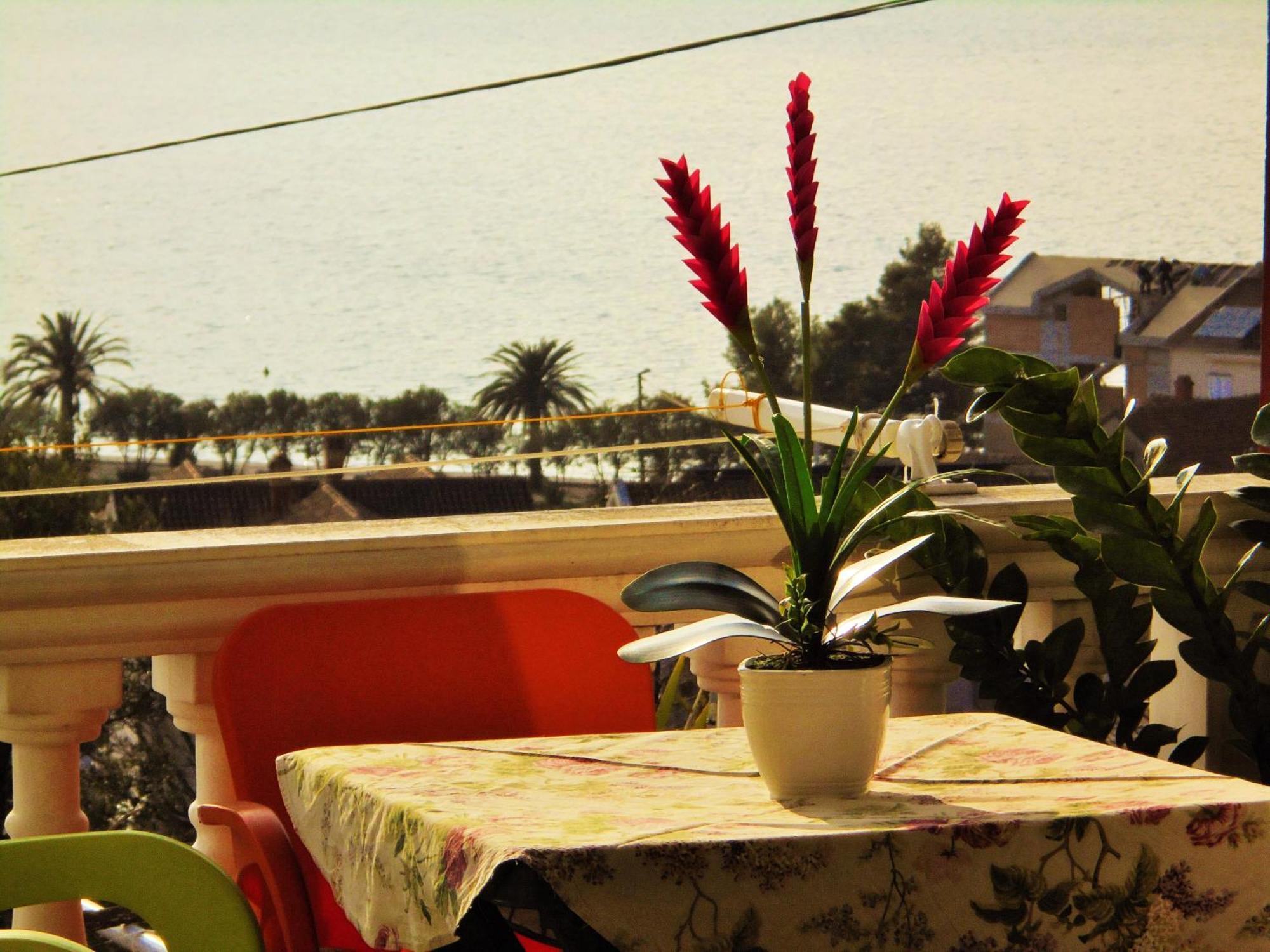 Villa Lastva Apartments Tivat Exterior photo